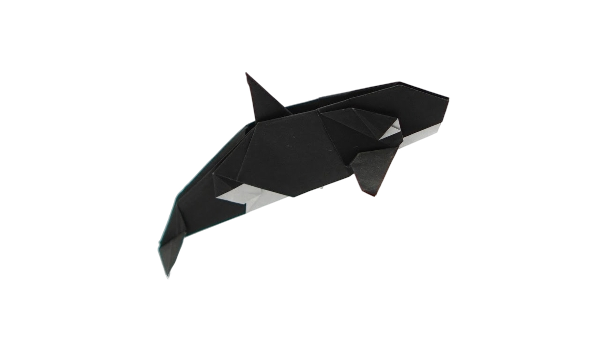Orca